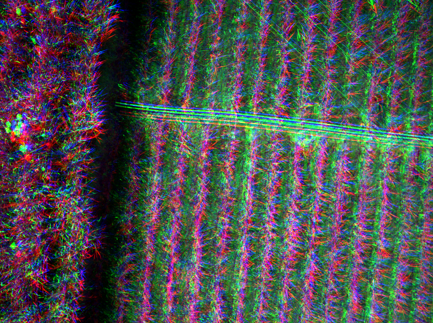 Color Infrared (NIR-R-G)