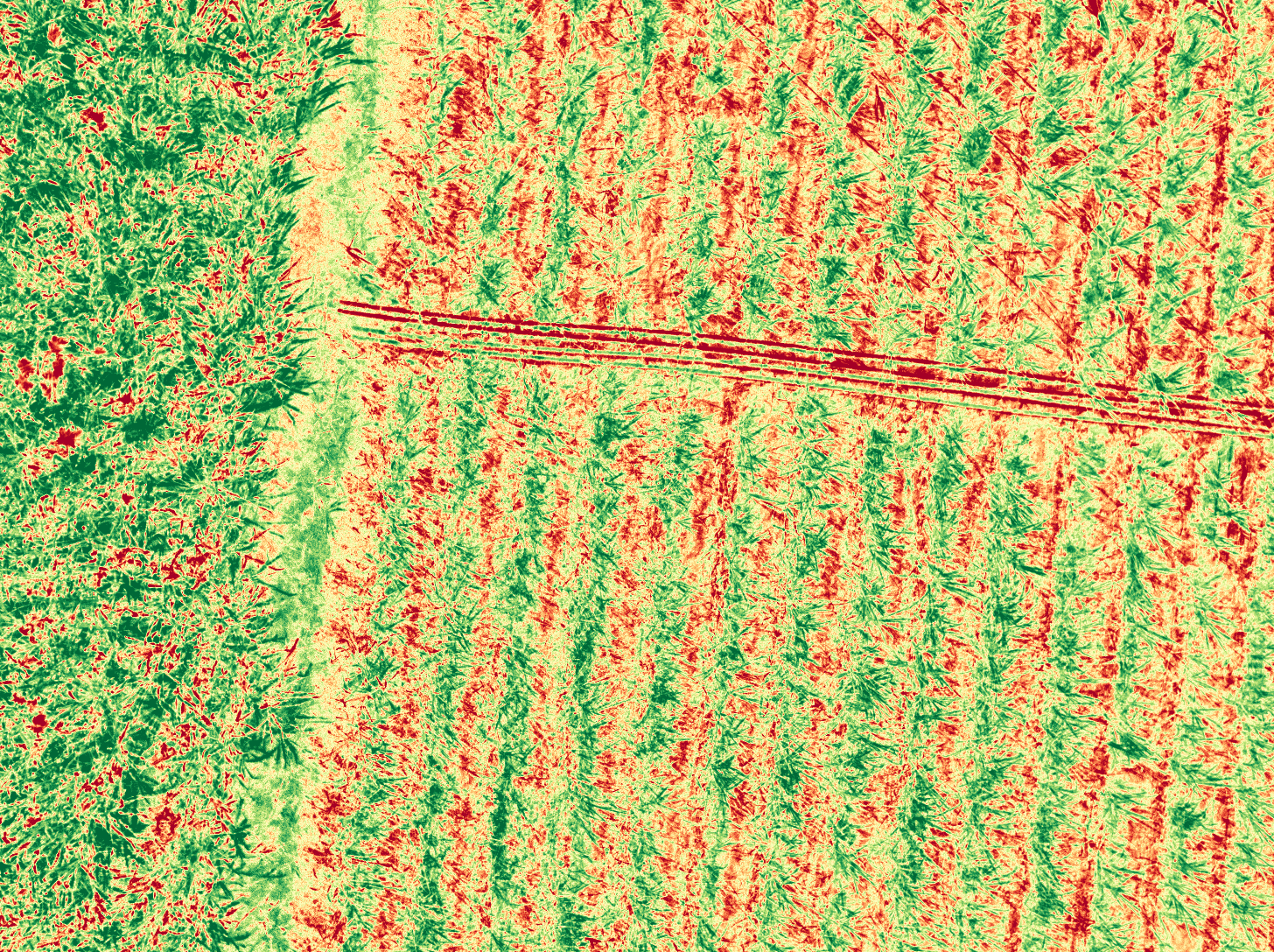 NDVI