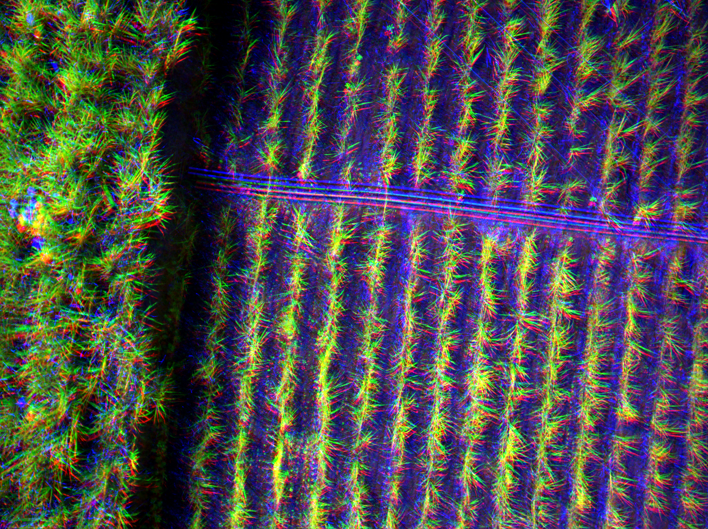False Color (NIR-RE-R)