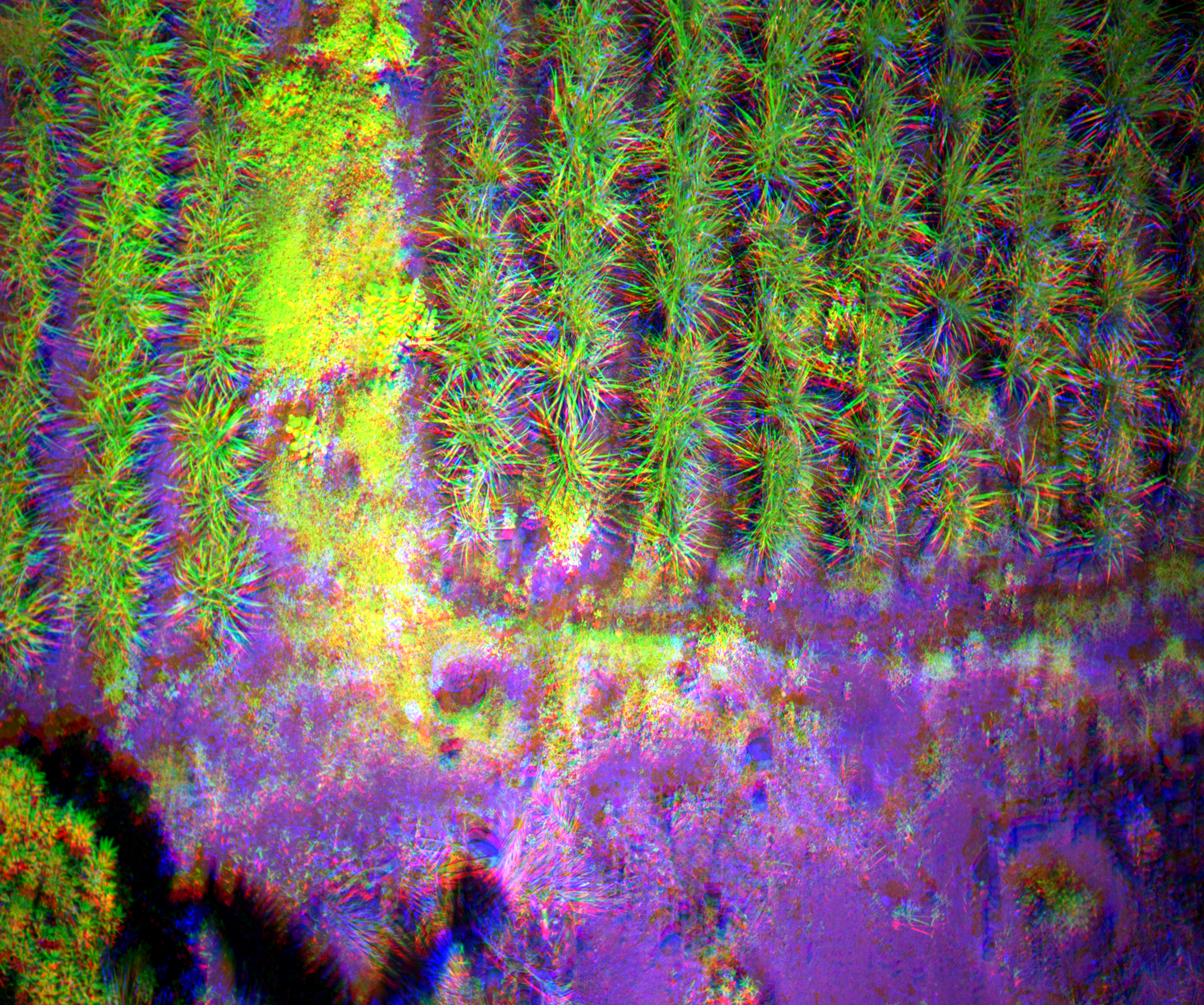 False Color (NIR-RE-R)