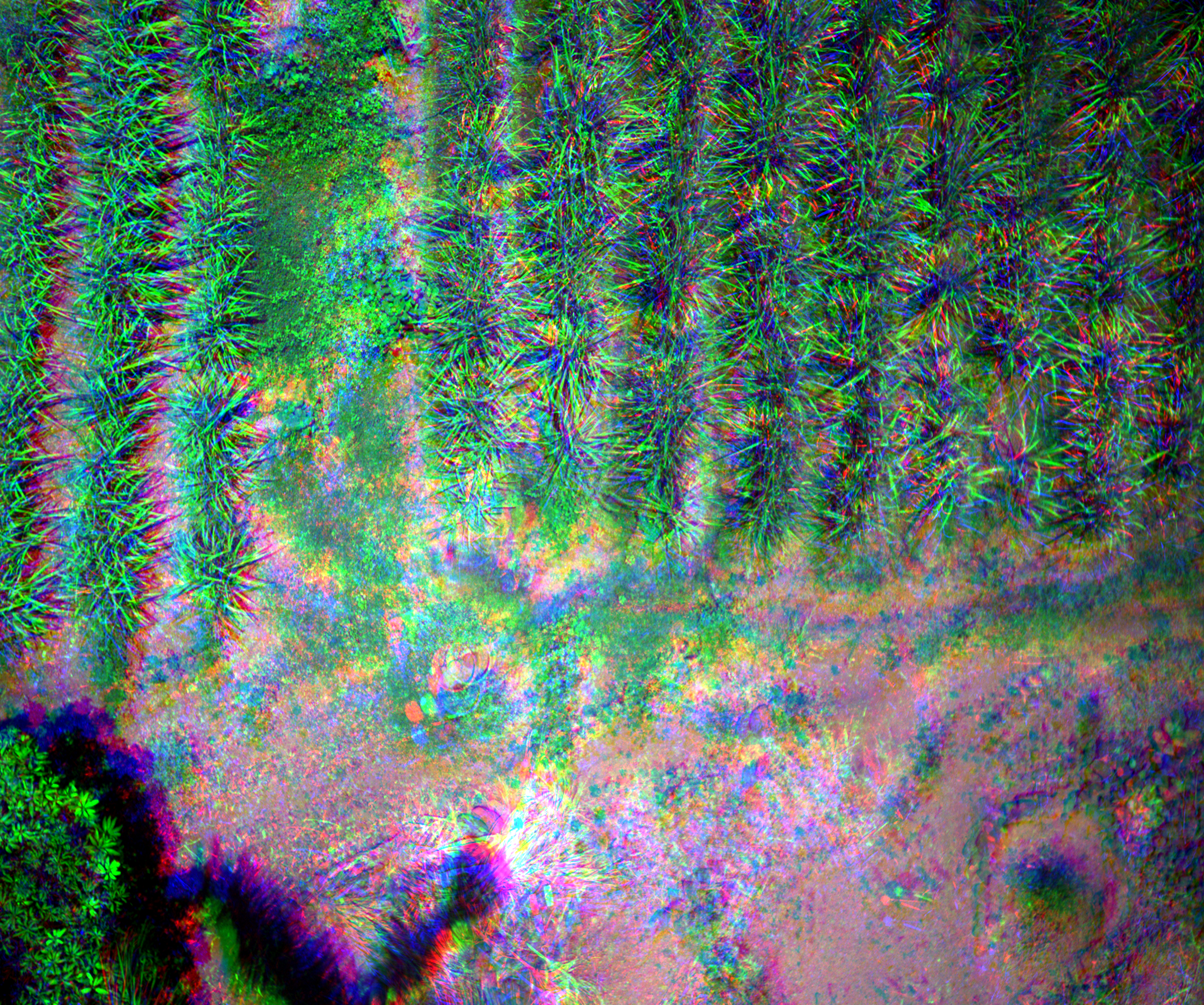 True Color (RGB)