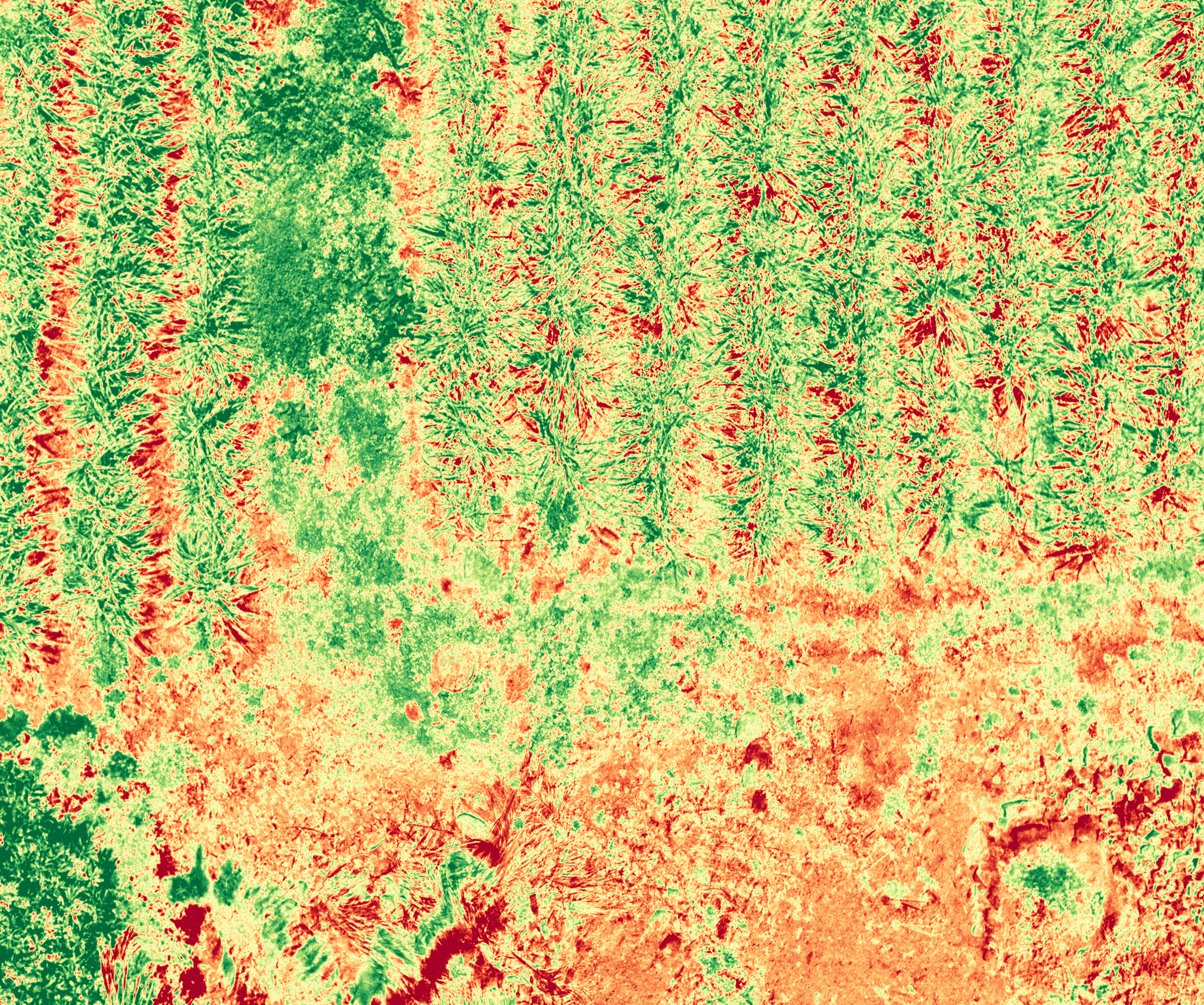 NDVI